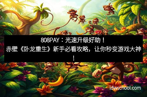 808PAY:光速升级好助!赤壁《卧龙重生》新手必看攻略,让你秒变游戏大神!